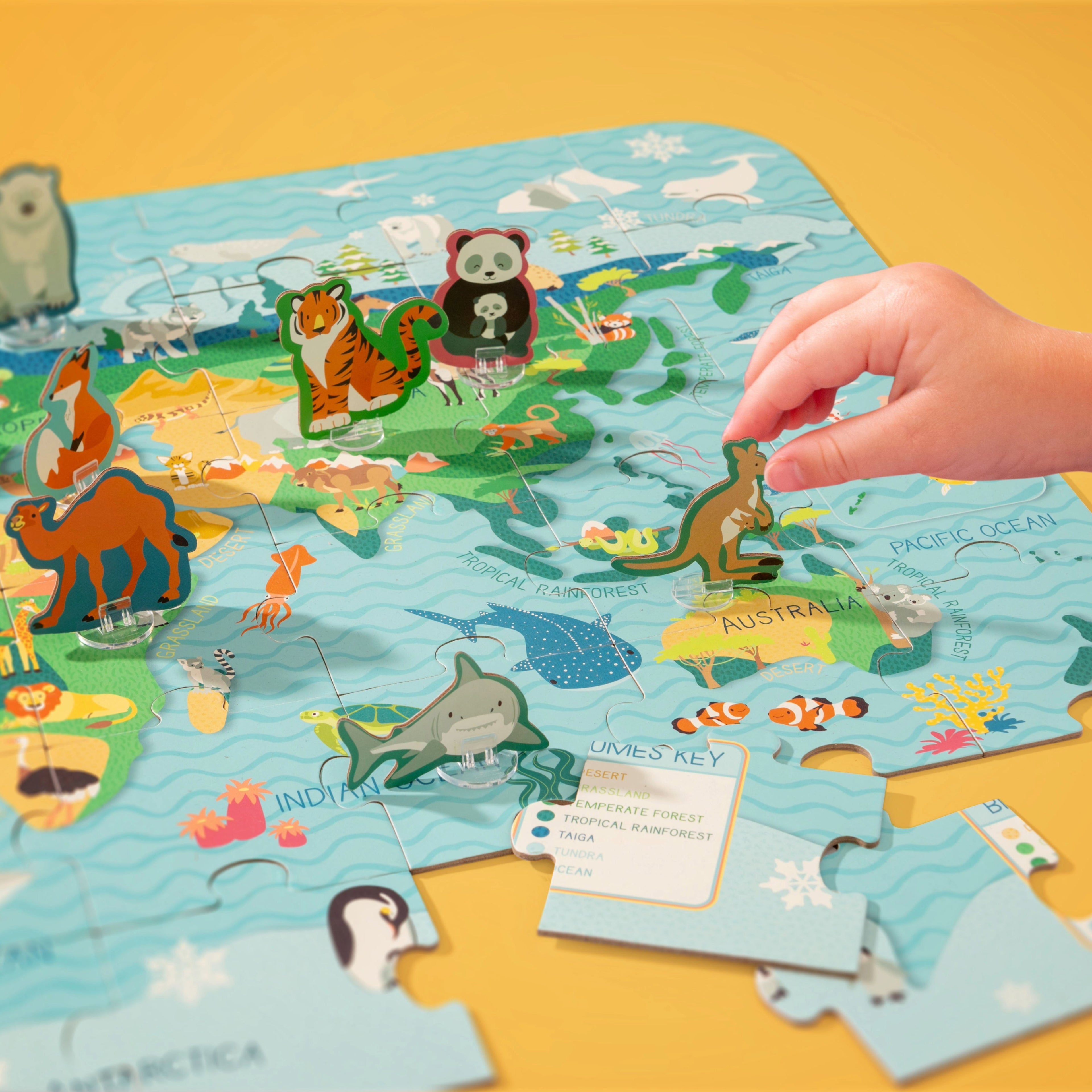 Tierische Biome